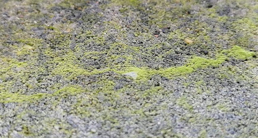 Hoe ontstaat groene aanslag