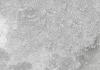 Cerasolid Marmerstone Light Grey 60x60x3 cm