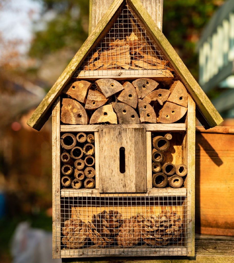 ruimte voor planten en dieren