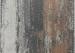 Tremico Texels bont 60x60x4