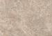 GeoCeramica Landstone Taupe 100x100x4 cm