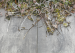 GeoCeramica Timber Grigio 40x80x4 cm