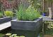 Patioblok Getrommeld Antraciet 60x12x12 cm