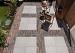 Intensa Vlak Blush 60x60x4 cm