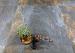 GeoCeramica Ardesie Afric Stone 60x60x4 cm
