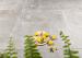 GeoCeramica Bel Cemento Grigio 100x100x4 cm