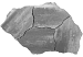 GeoArdesia Alivo Elba