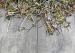 GeoCeramica Timber Grigio 30x60x4 cm