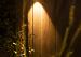 In-lite wandlamp ACE DOWN WHITE 12V