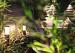 in-lite lage staande lamp LIV LOW CORTEN