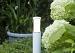 in-lite hoge staande lamp LIV WHITE