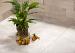 GeoCeramica Motion Beige 120x60x4 cm