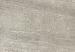 GeoCeramica Aspen Oxide 60x60x4 cm