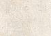 GeoCeramica Stone Select Borgogna Beige 90x90x4 cm
