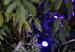 In-lite buitenspot SMART SCOPE TONE