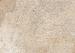 GeoCeramica Jungle Stone Dessert 80x80x4 cm