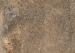 GeoCeramica Jungle Stone Wild 80x80x4 cm