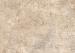 GeoCeramica Jungle Stone Dessert 80x80x4 cm