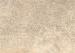 GeoCeramica Jungle Stone Dessert 80x80x4 cm