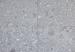 Norr 2.0 Gra 60x60x2 cm