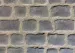 Courtstones Ocean Blue Wildverband