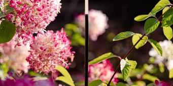 in-lite staande buitenlamp BREEZE