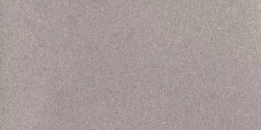 Tremico Taupe 60x60x4