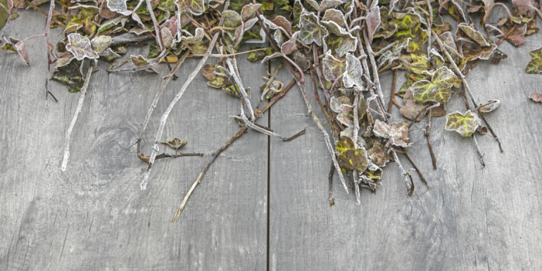 GeoCeramica Timber Grigio 40x80x4 cm