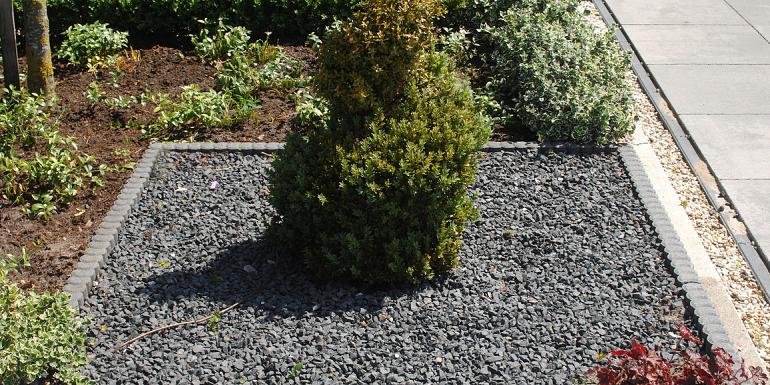 Palissadeband Rond Zwart 6x25x50 cm