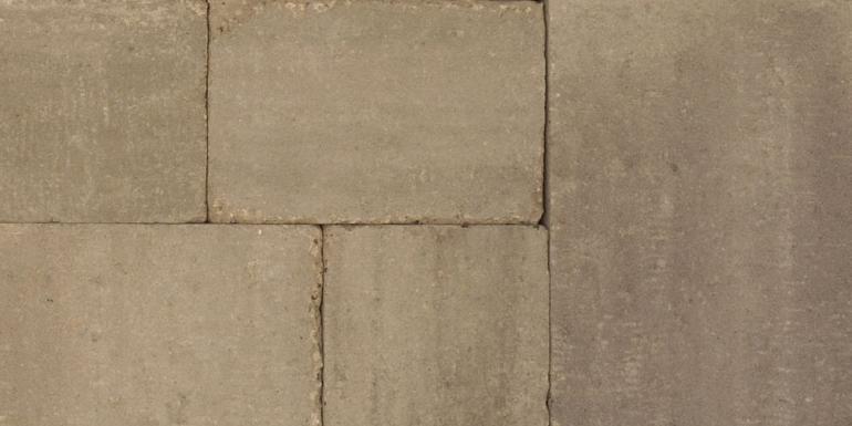 Abbeystones Ivory Wildverband