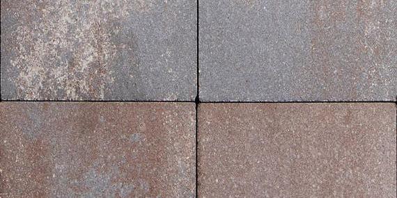 Terratops Plus Barcelona