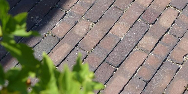 Gala WS Classica WF Paars Blauw Onbezand 20x5x8,5 cm