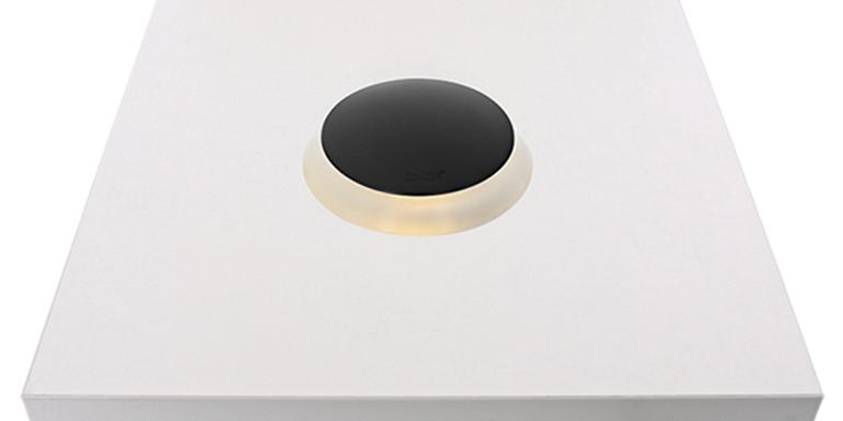 In-lite grondspot Puck 12V