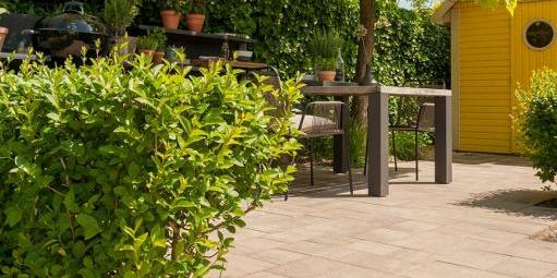 Soft Comfort Ivory Wildverband