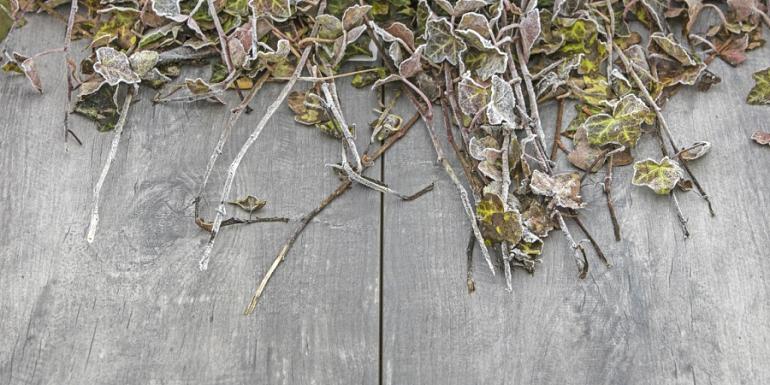 GeoCeramica Timber Grigio 30x60x4 cm