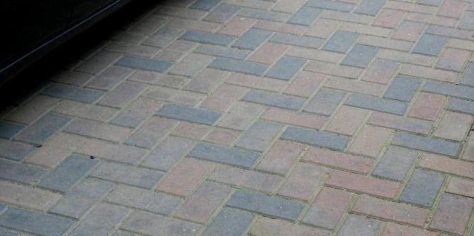 Tremico Oud bont