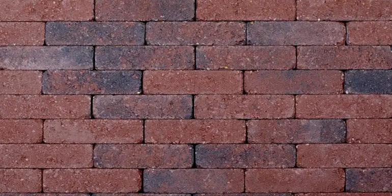 Kobblestones Oud Hollands Waalformaat 20x5x7 cm
