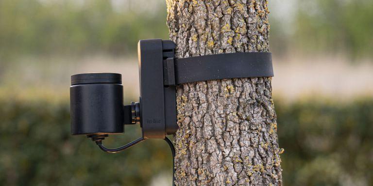 In-lite BRACE montageband