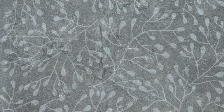 GeoCeramica Decor Liefs 60x60x4 cm