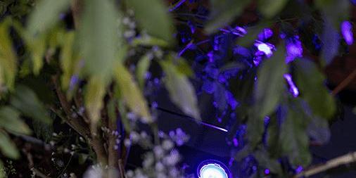 In-lite buitenspot SMART SCOPE TONE