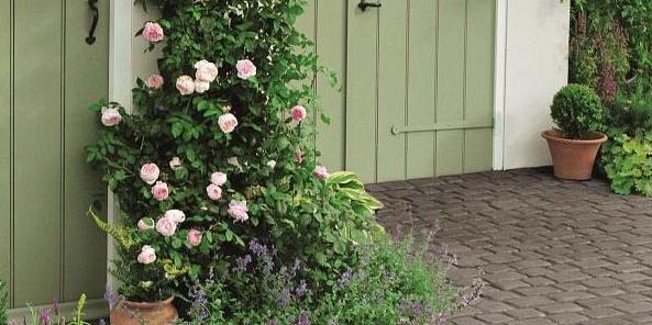Courtstones Canvas Wildverband