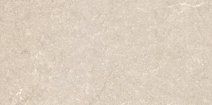 GeoCeramica Grande Piazza Bologna 80x80x4