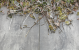 GeoCeramica Timber Grigio 40x80x4 cm