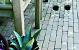 Abbeystones Zomerbont