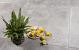 GeoCeramica Bel Cemento Grigio 100x100x4 cm