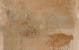 Triagres 3.0 60x60x3 Industrial Fire