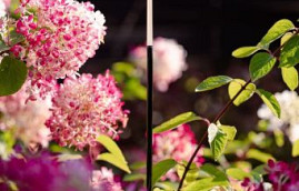 in-lite staande buitenlamp BREEZE