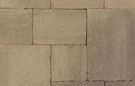 Abbeystones Ivory Wildverband