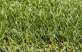 Royal Grass® Sense 4 meter breed