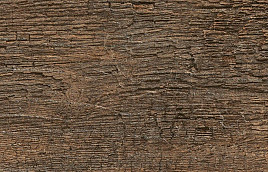 Noon Honey NN03 120x30x2 cm